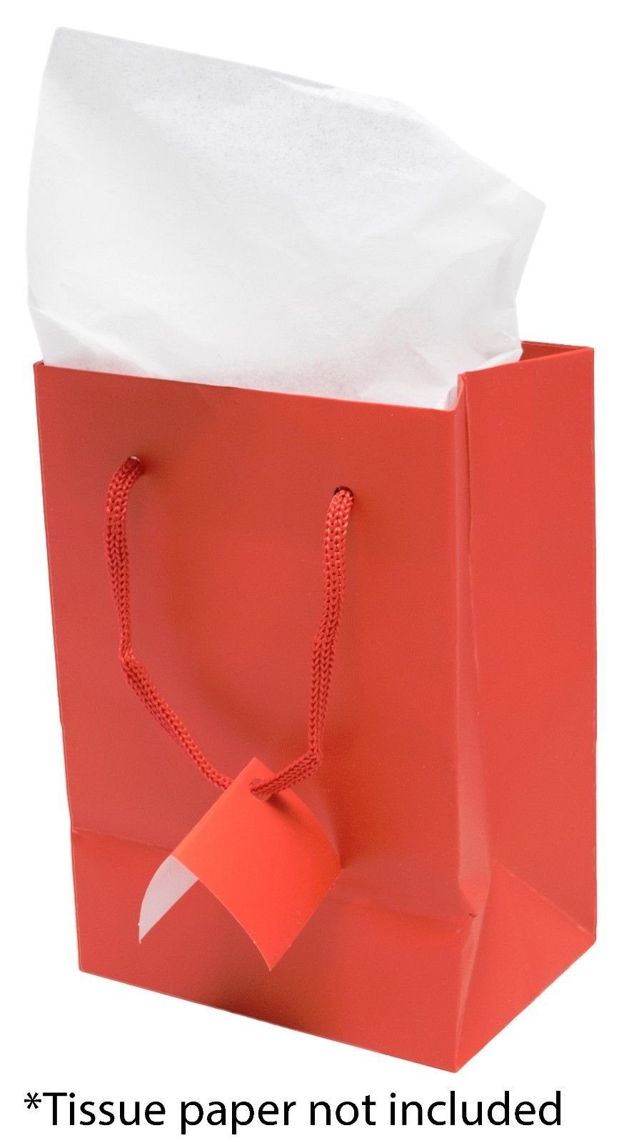 Novel Box™ Matte Laminated Euro Tote Paper Gift Shopping Bag,Rope Handle,10 Pack