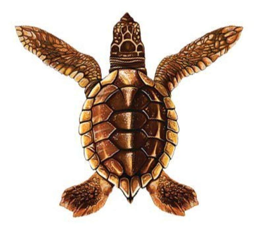 Baby Turtle Porcelain Swimming Pool Mosaic - Picture 4 of 5