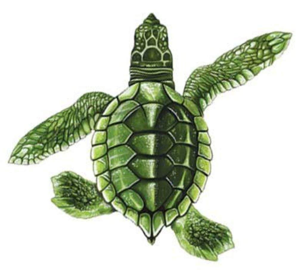 Baby Turtle Porcelain Swimming Pool Mosaic - Picture 5 of 5