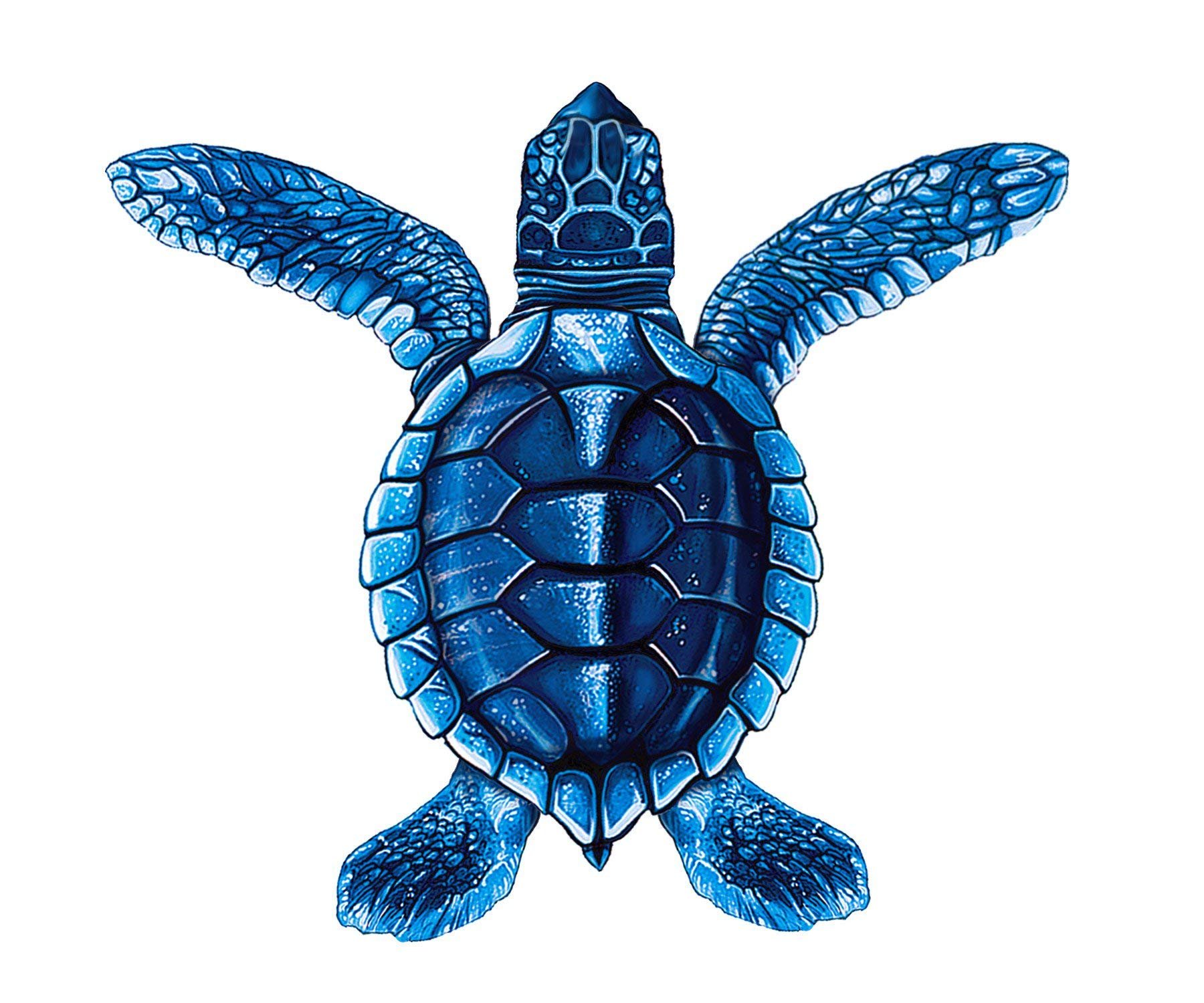 Baby Turtle Porcelain Swimming Pool Mosaic - Picture 3 of 5
