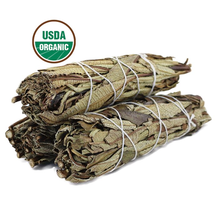 Paquete de 3 paquetes mixtos de palos de mancha de salvia blanca USDA orgánicos con guía de manchas - Imagen 15 de 15