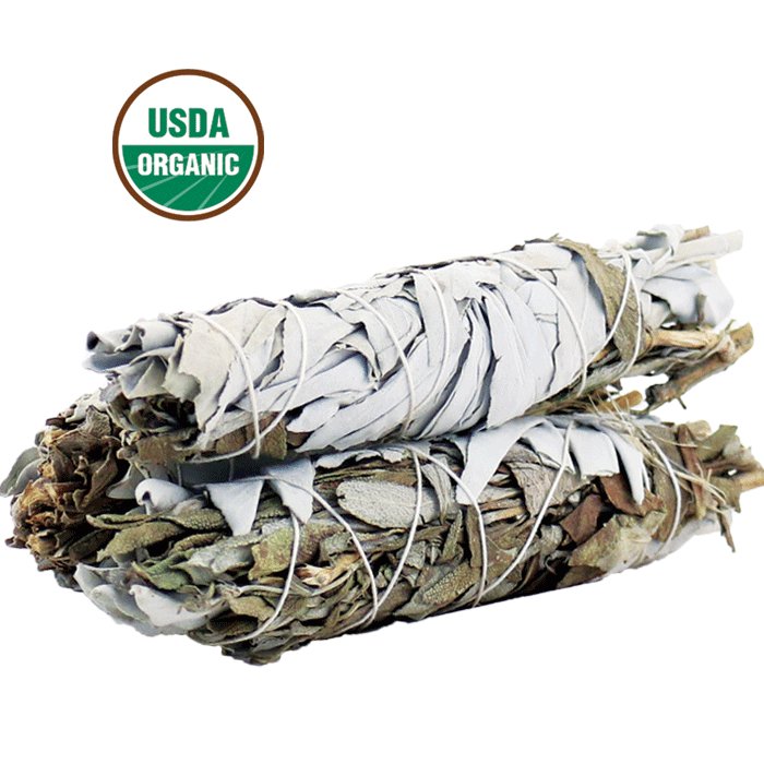 Paquete de 3 paquetes mixtos de palos de mancha de salvia blanca USDA orgánicos con guía de manchas - Imagen 3 de 15
