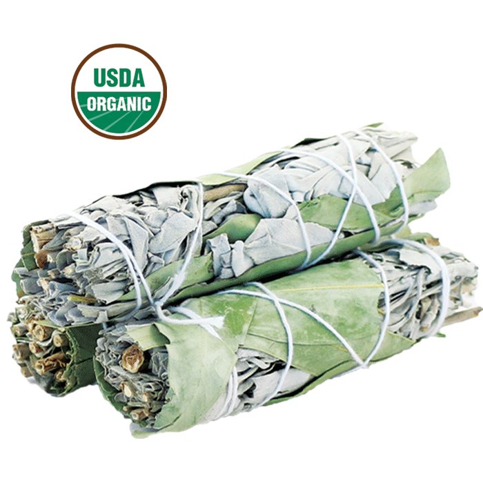 Paquete de 3 paquetes mixtos de palos de mancha de salvia blanca USDA orgánicos con guía de manchas - Imagen 10 de 15