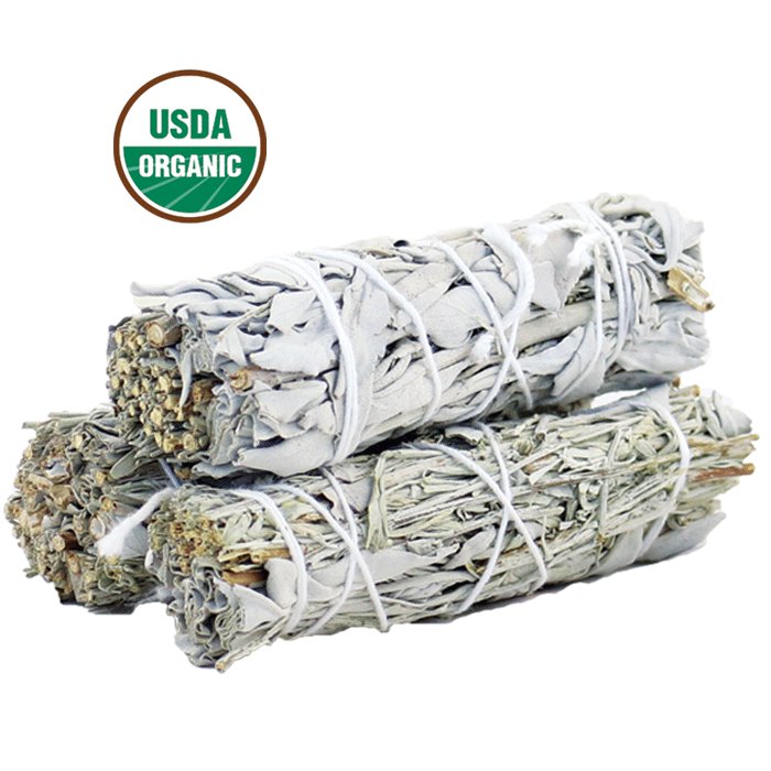 Paquete de 3 paquetes mixtos de palos de mancha de salvia blanca USDA orgánicos con guía de manchas - Imagen 4 de 15