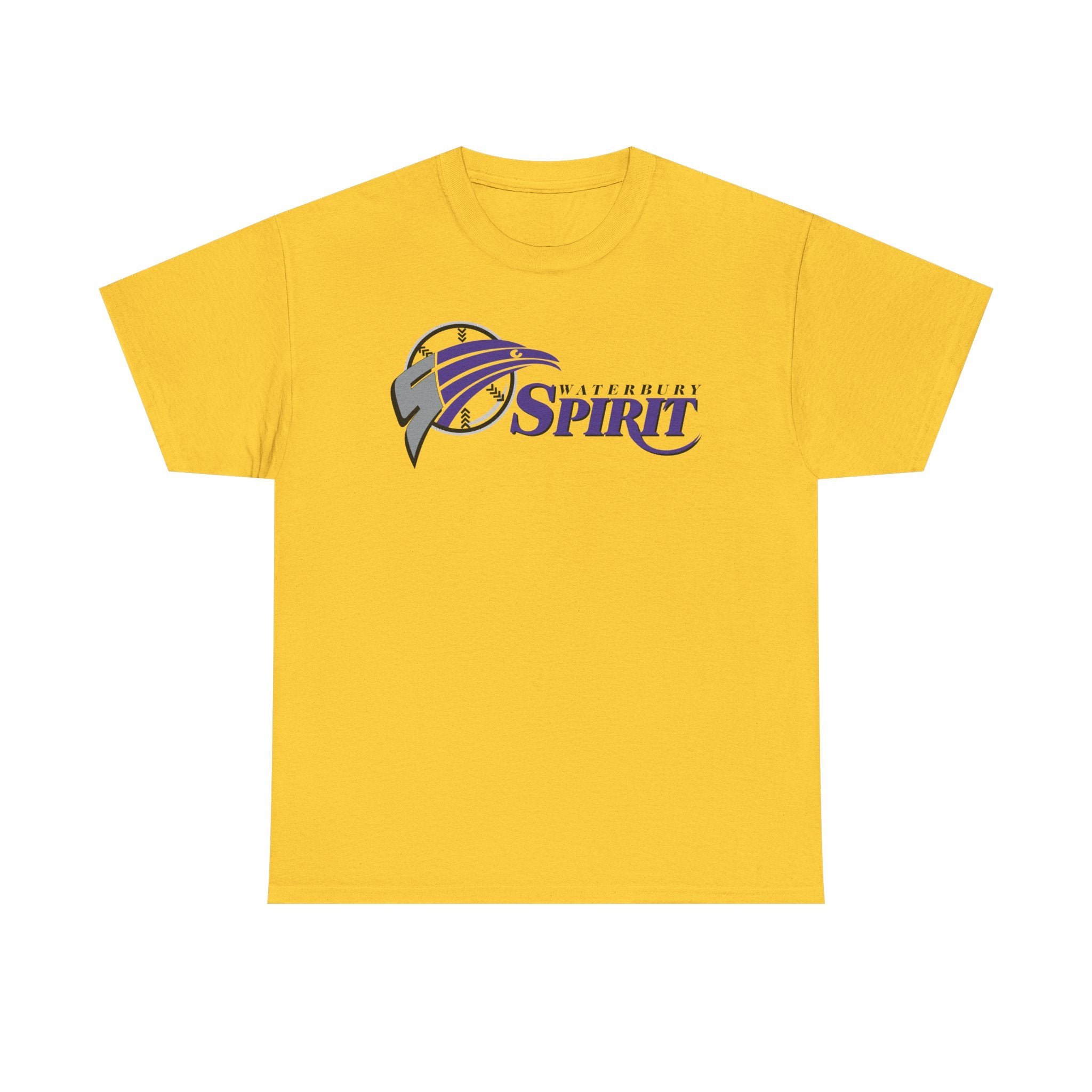Waterbury Connecticut Spirit Baseball 1997-2000 T-shirt