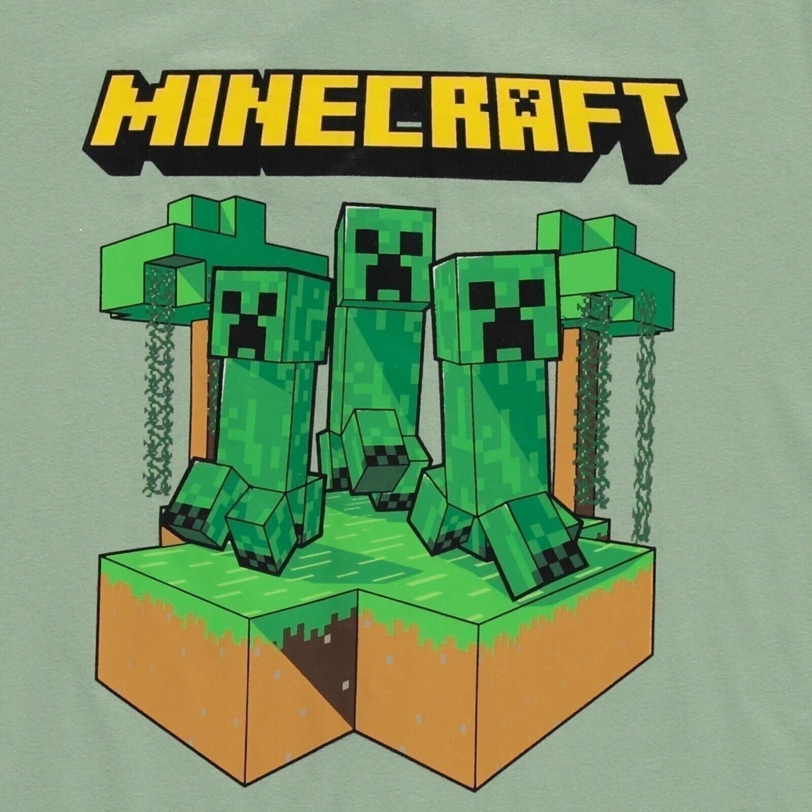 Minecraft Boys Adaptive T-Shirt & Cargo Sweatpants Set, Gaming Clothing... - Picture 6 of 8