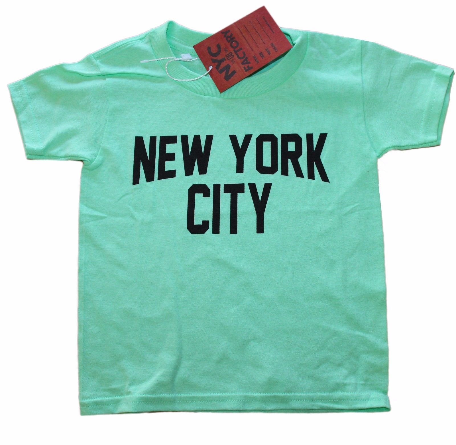 Mint Green New York City T-Shirt Screen Print NYC Toddler Tee Gift Love NY 2t 3t