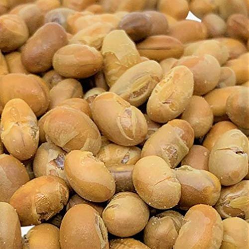 Gourmet Roasted Salted Soy Beans (soy nuts) by Its Delish (two pounds