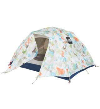 the north face homestead roomy 2