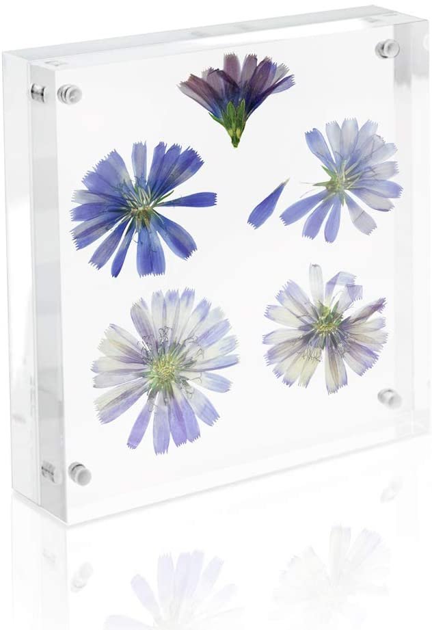 Isaac Jacobs Super Thick Acrylic Magnetic Block Frame