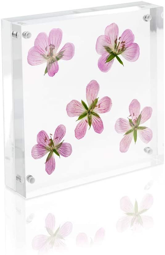 Isaac Jacobs Super Thick Acrylic Magnetic Block Frame