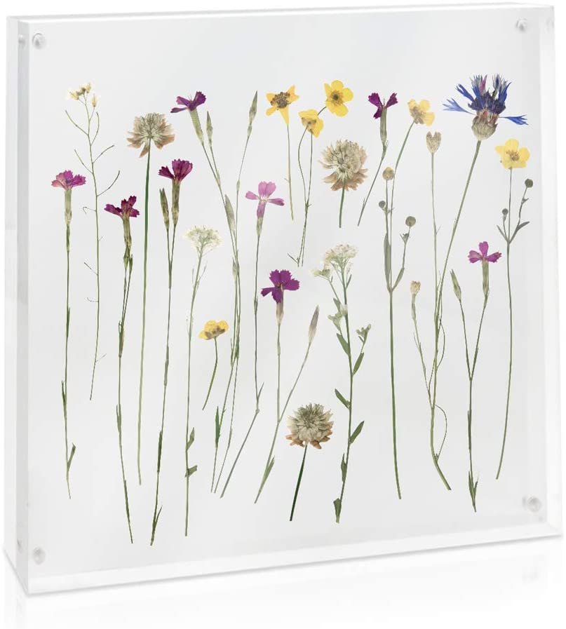 Isaac Jacobs Super Thick Acrylic Magnetic Block Frame