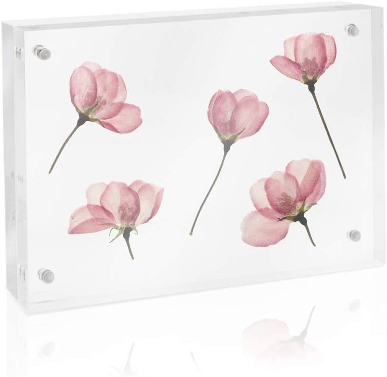 Isaac Jacobs Super Thick Acrylic Magnetic Block Frame