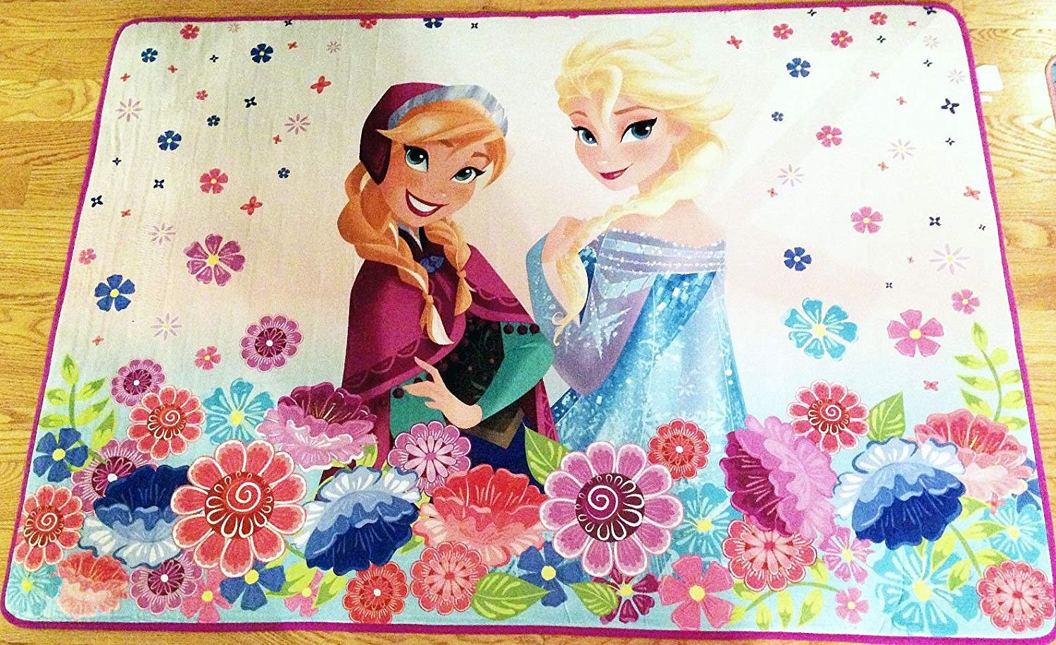 Disney Frozen Princess Winter Thaw Area Rug, 40" x 56