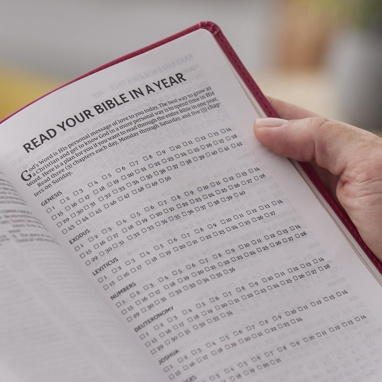 NKJV, kompakte Mittelsäulen-Referenzbibel, dunkelrosa Ledersoft, roter Buchstabe, - Bild 7 von 9