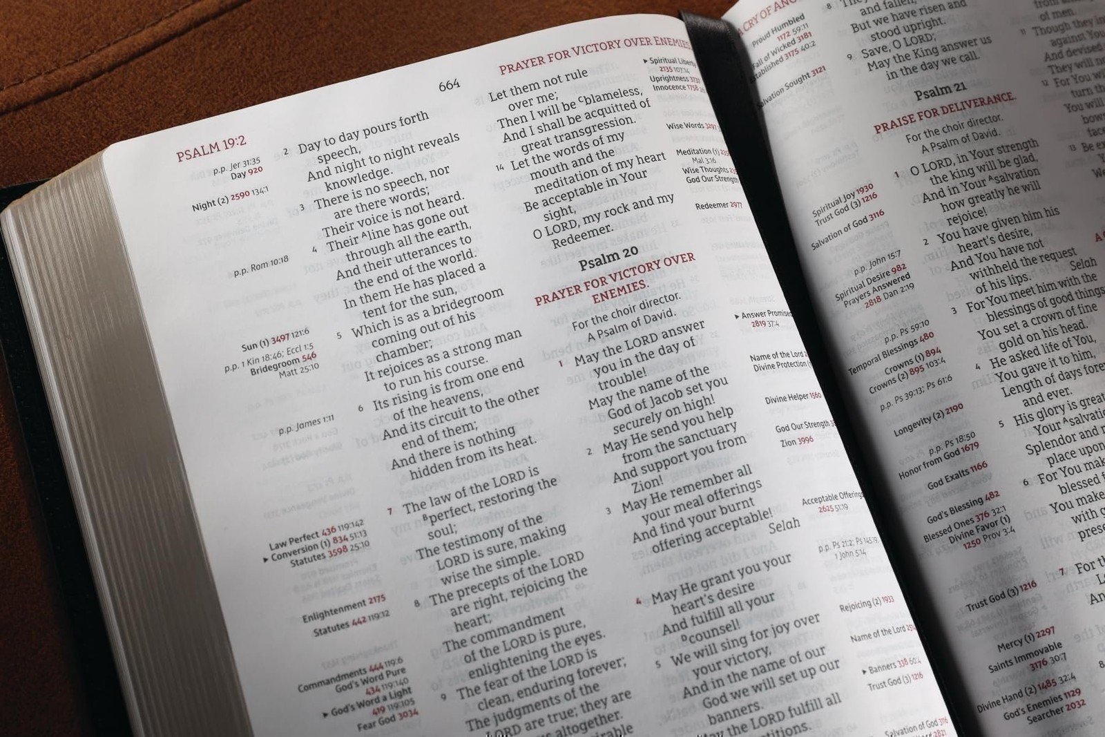 NASB, Thompson Ketten-Referenzbibel, Echtleder, Kalbsleder, schwarz, 1995... - Bild 8 von 9