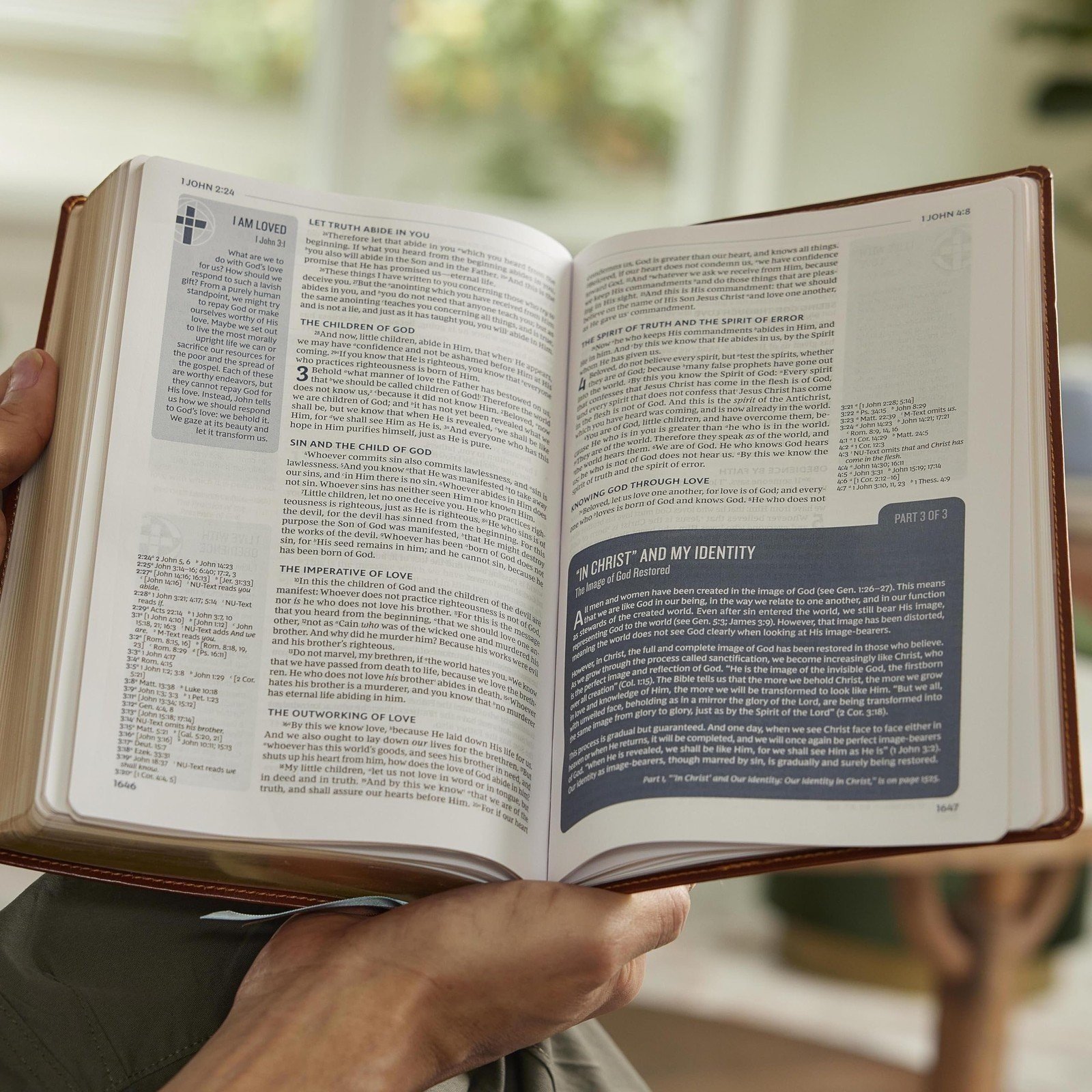 Life in Christ Bible: Discovering, Believing, and Rejoicing in Who God Says... - Bild 6 von 9