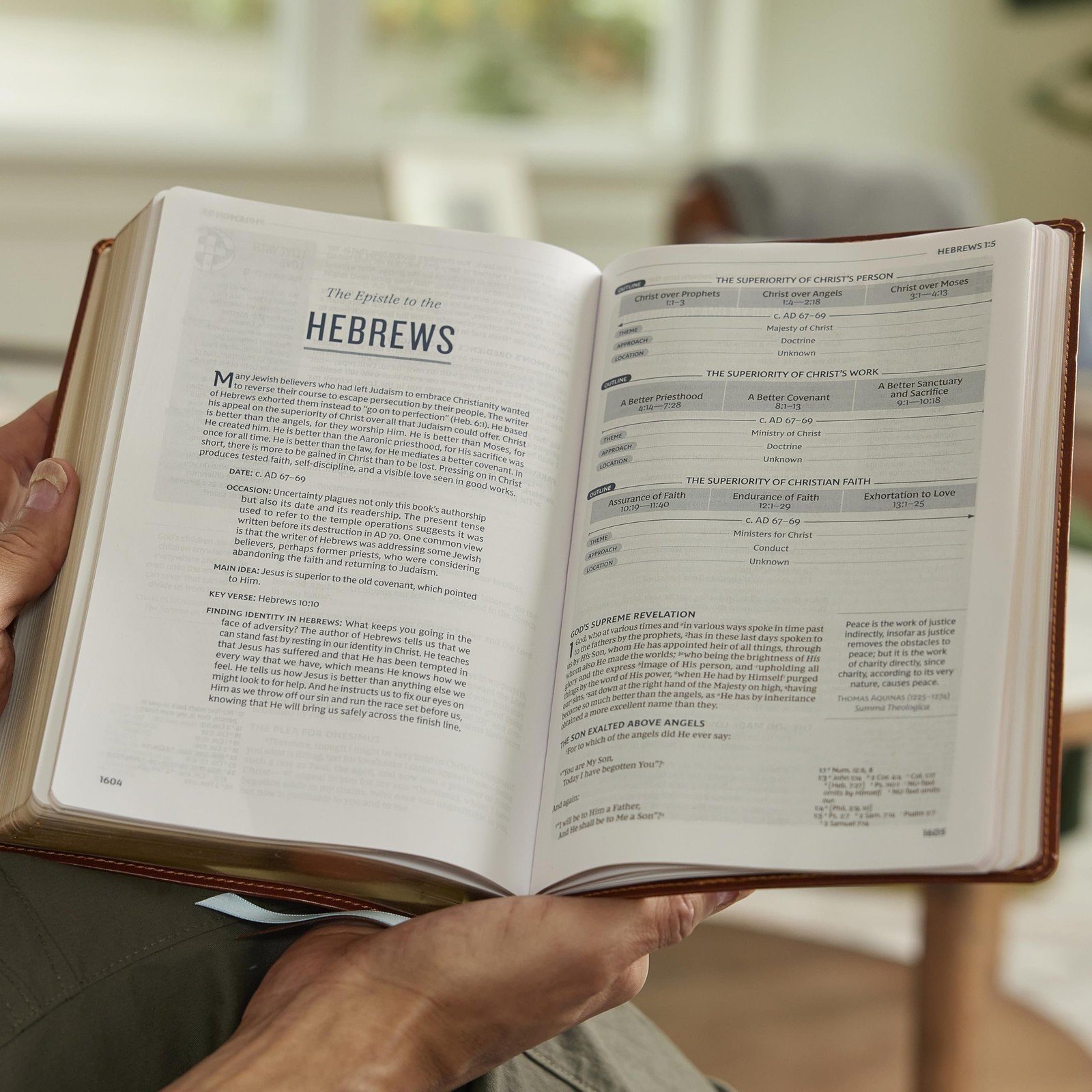 Life in Christ Bible: Discovering, Believing, and Rejoicing in Who God Says... - Bild 5 von 9
