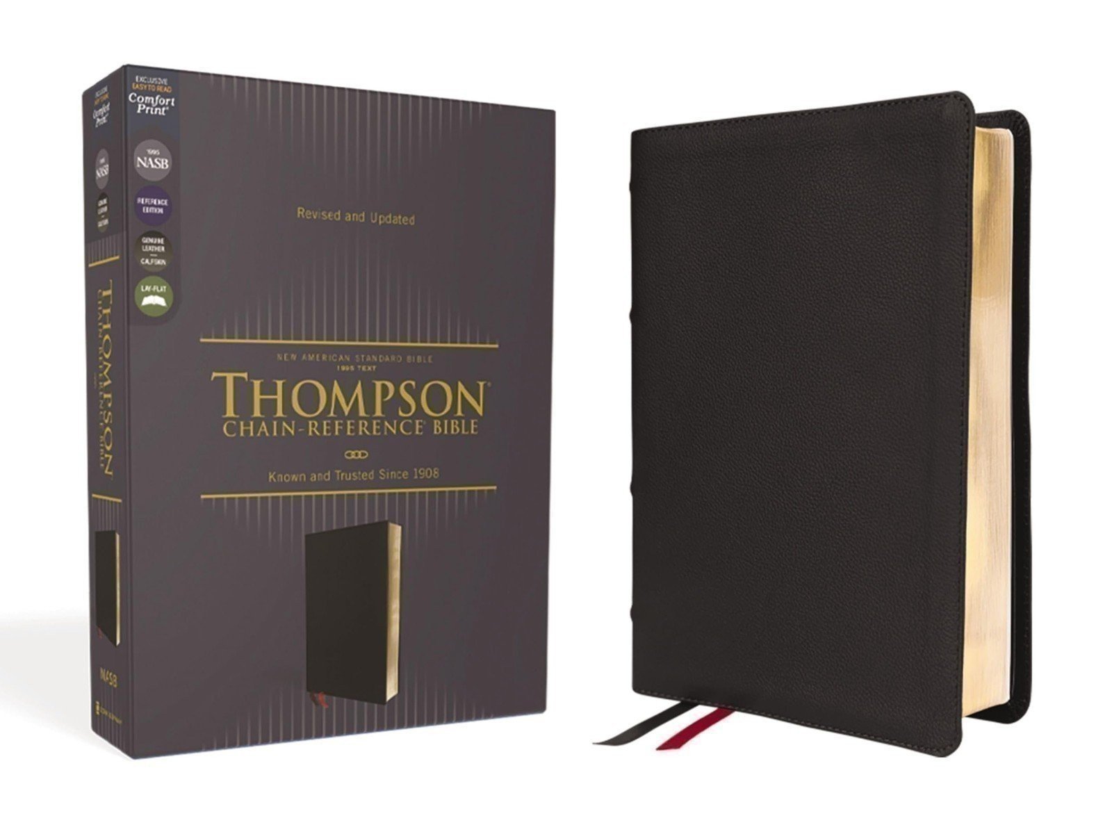 NASB, Thompson Ketten-Referenzbibel, Echtleder, Kalbsleder, schwarz, 1995... - Bild 1 von 9