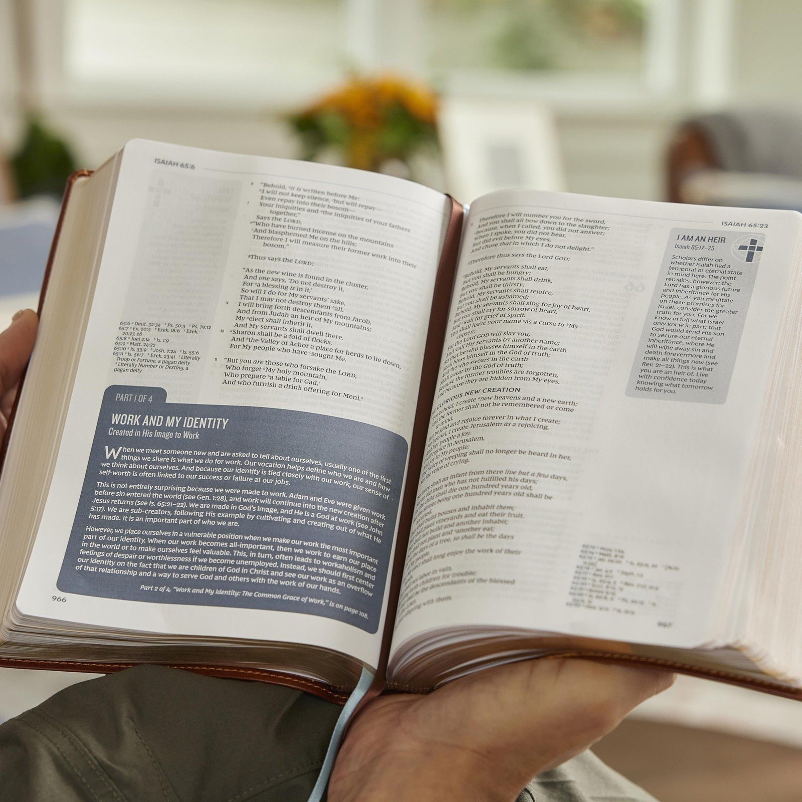 Life in Christ Bible: Discovering, Believing, and Rejoicing in Who God Says... - Bild 2 von 9