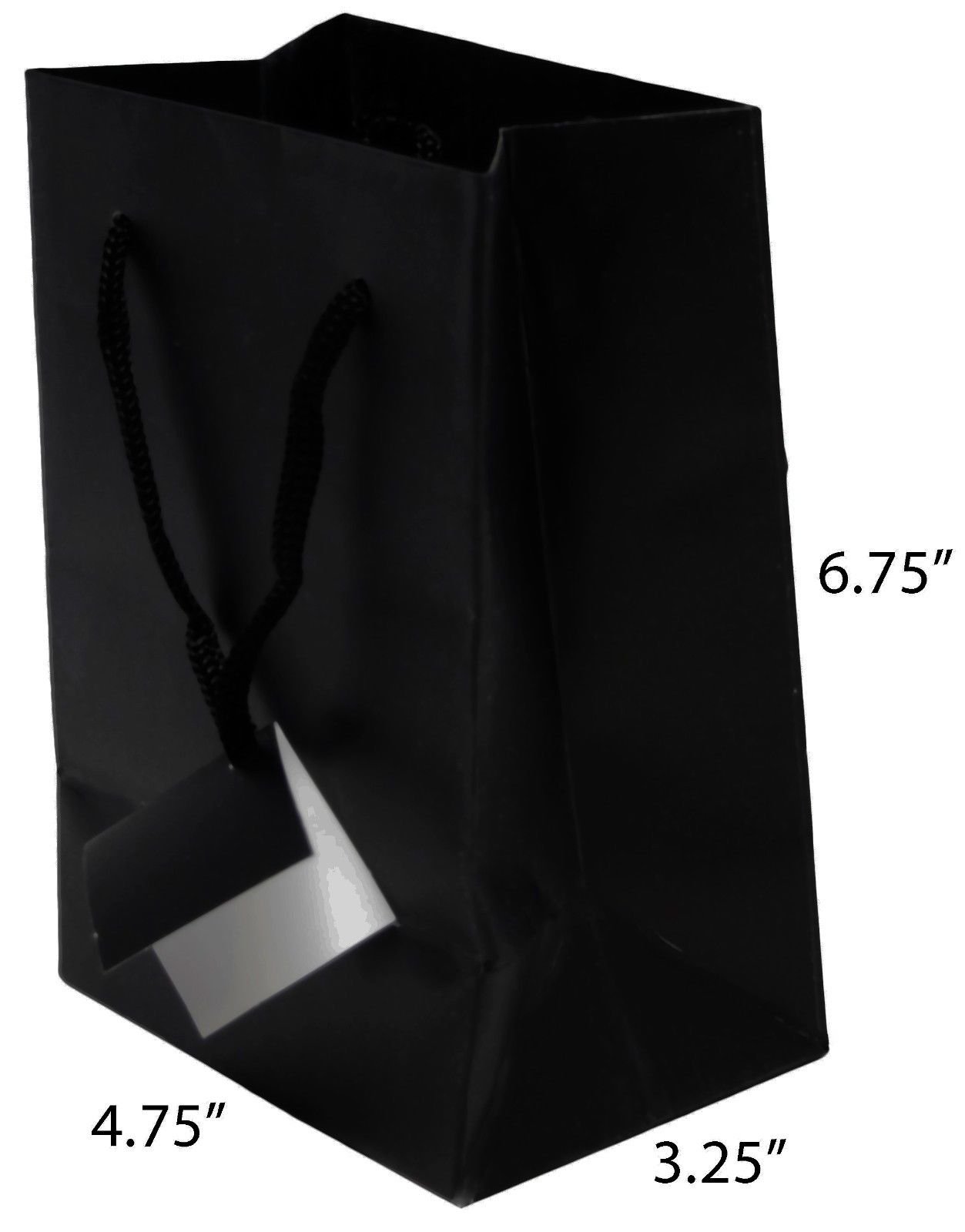 Eurotote Gift Bag with Rope Handles and Metallic Imprint – Taylor Campus  Store