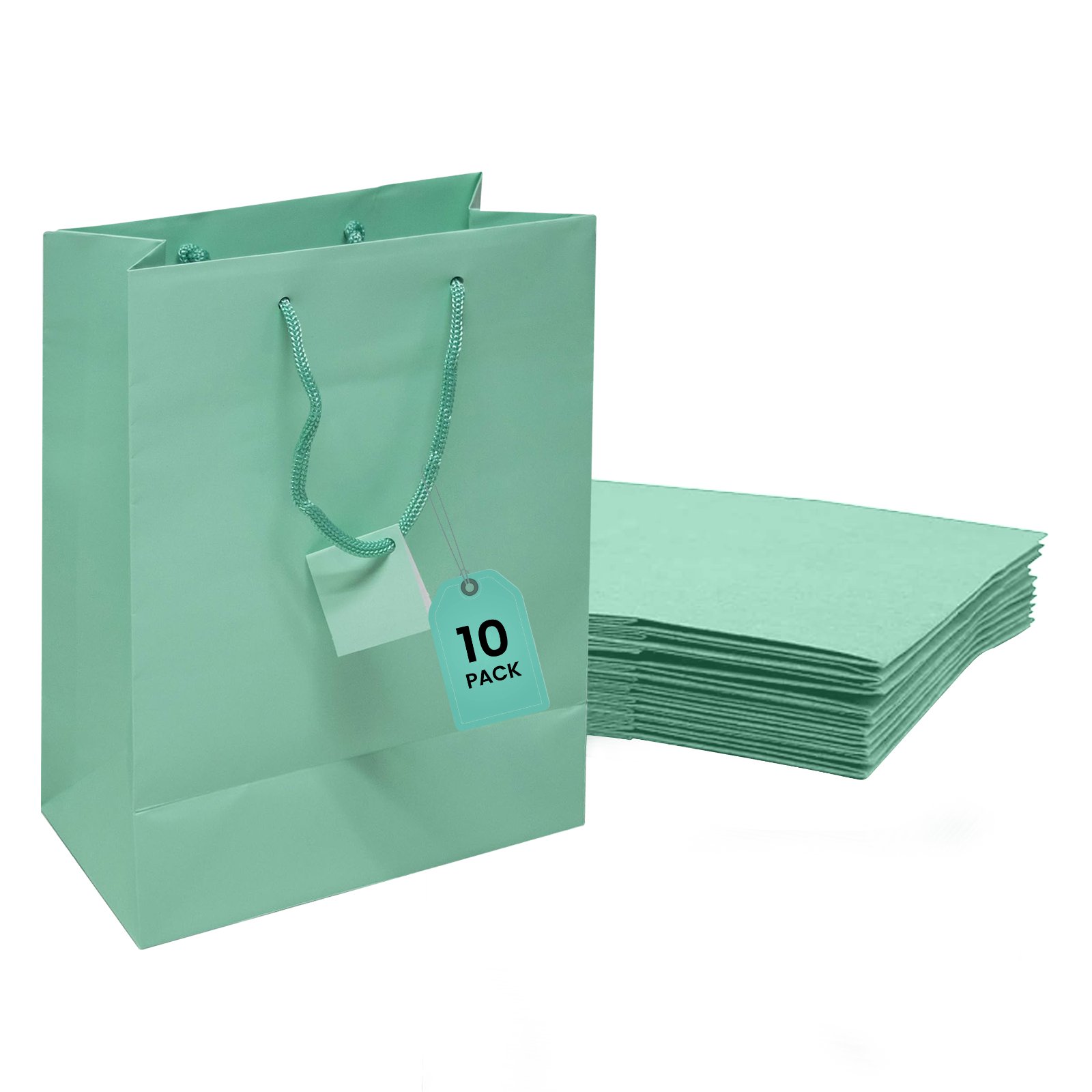 Matte Euro Tote Paper Gift Rope Handle Shopping Bag Shopping Birthday-10 Pack
