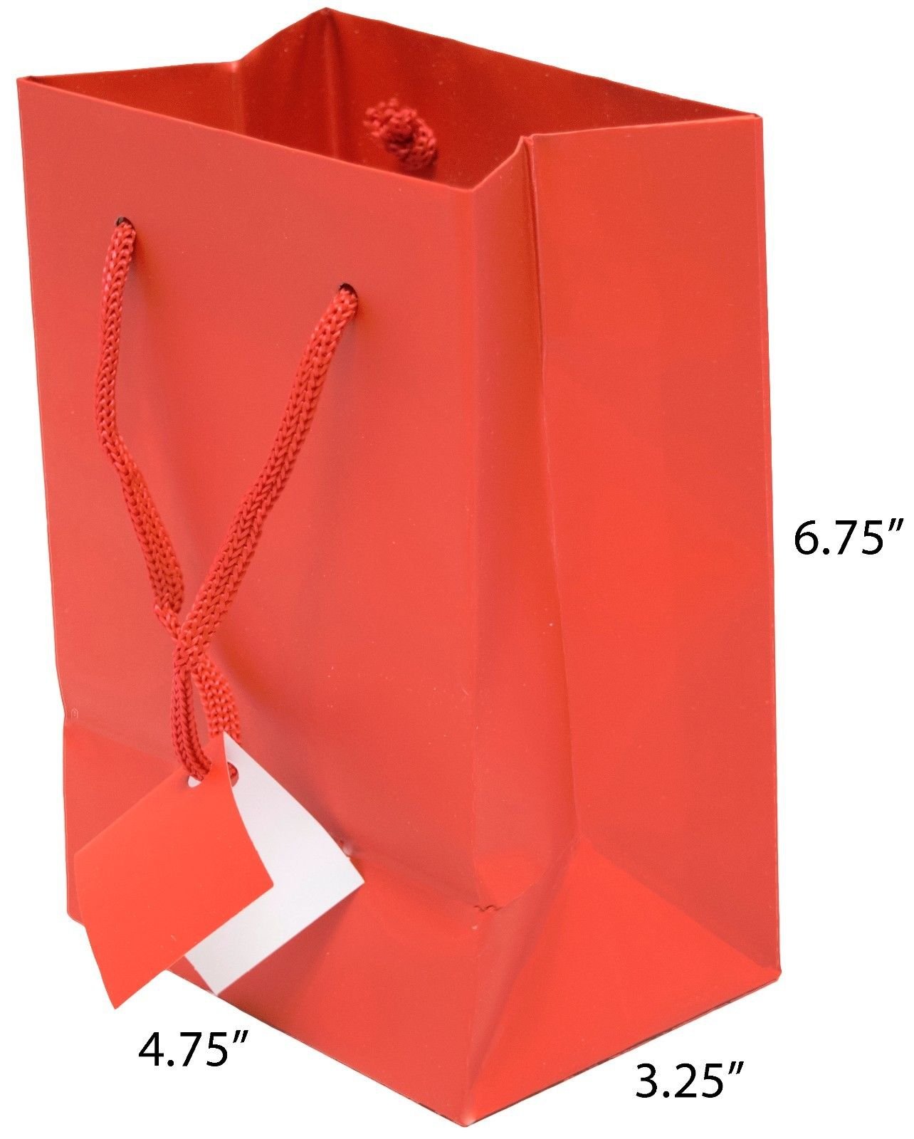 Eurotote Gift Bag with Rope Handles and Metallic Imprint – Taylor Campus  Store