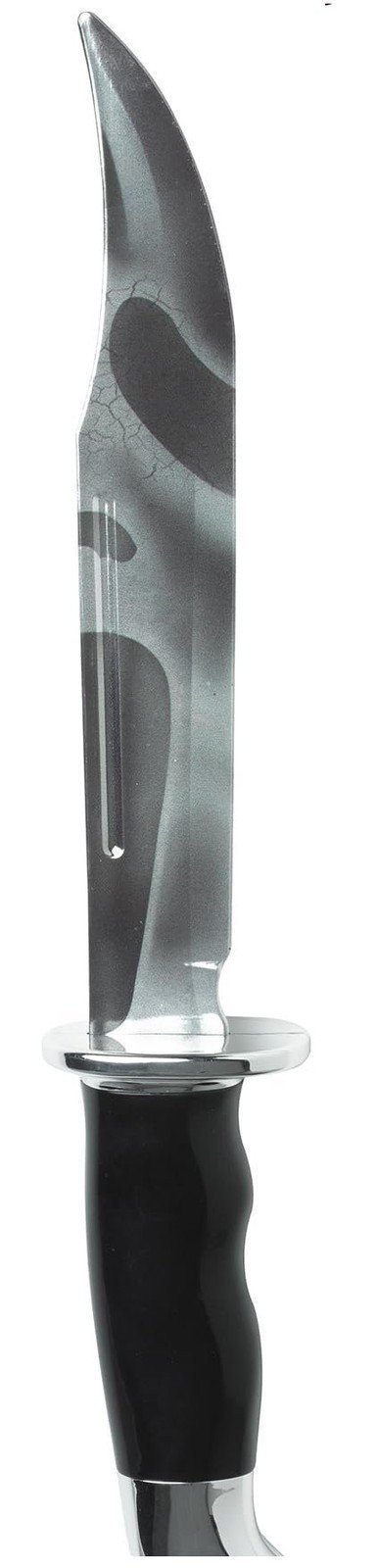 Foto 1 di 3