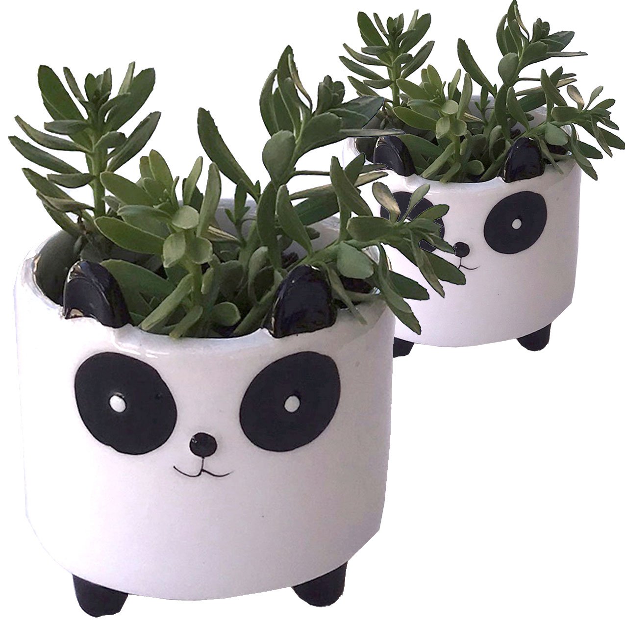Planter for Succulent Plant Ceramic Plant Pots Indoor, Novelty Planters for... - Picture 11 of 24