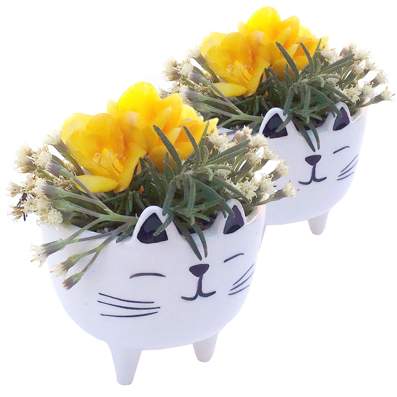 Planter for Succulent Plant Ceramic Plant Pots Indoor, Novelty Planters for... - Picture 20 of 24