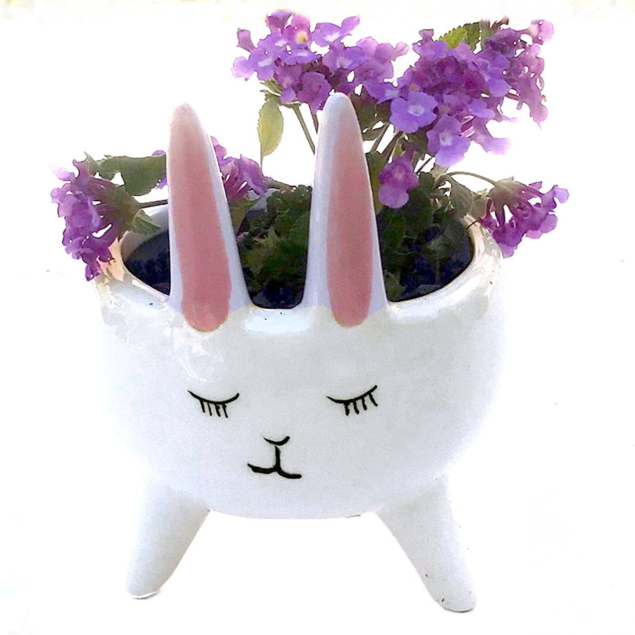 Planter for Succulent Plant Ceramic Plant Pots Indoor, Novelty Planters for... - Picture 16 of 24