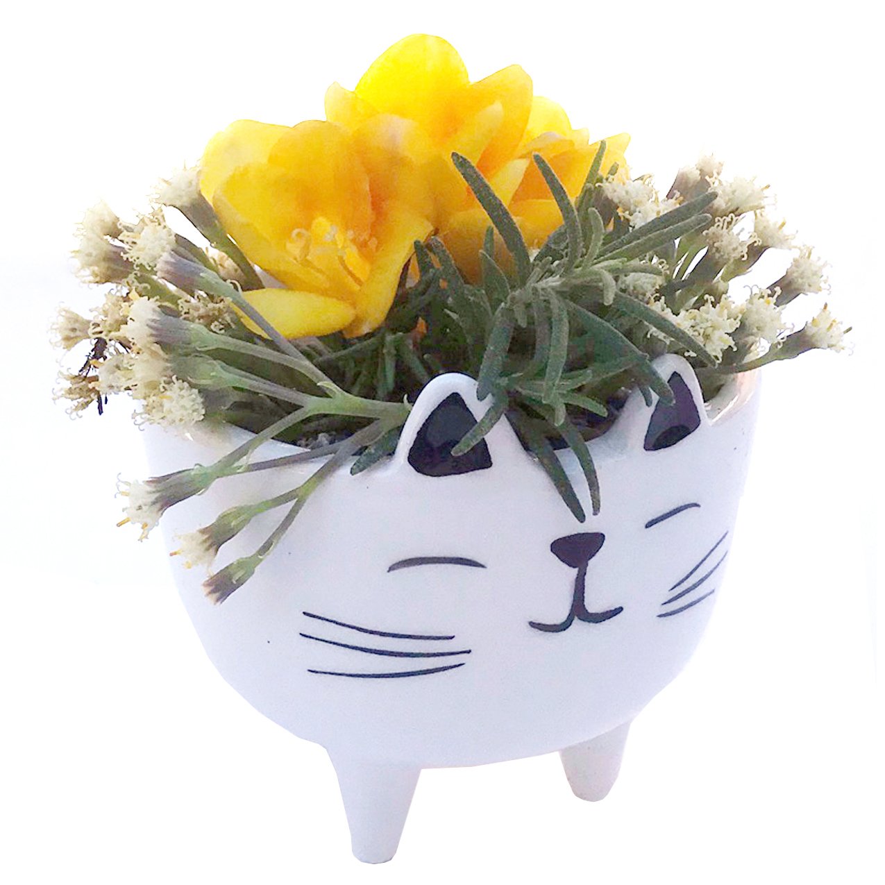 Planter for Succulent Plant Ceramic Plant Pots Indoor, Novelty Planters for... - Picture 19 of 24