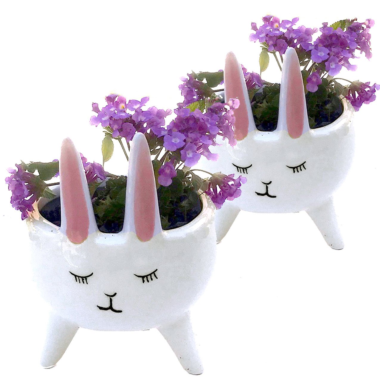 Planter for Succulent Plant Ceramic Plant Pots Indoor, Novelty Planters for... - Picture 17 of 24