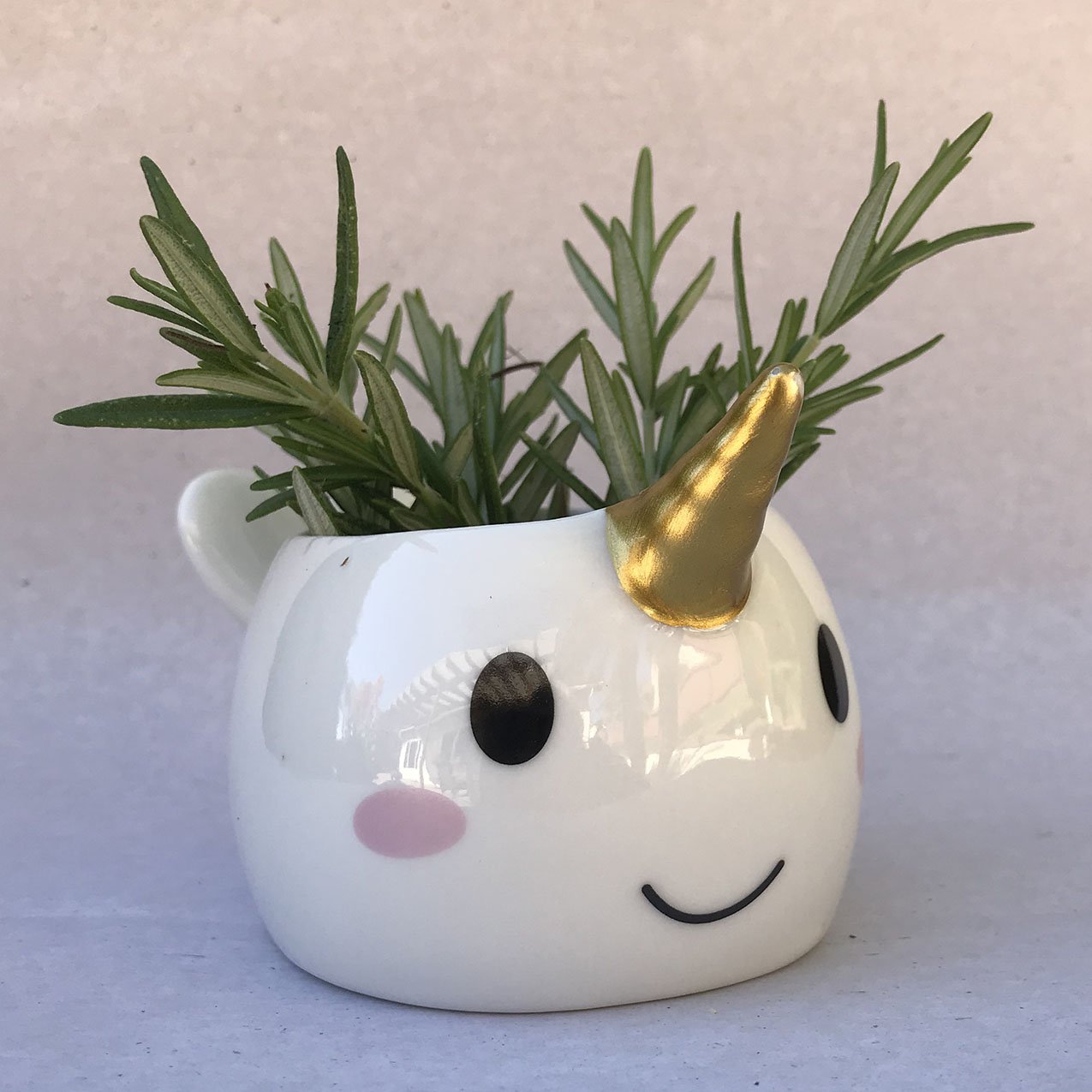 Planter for Succulent Plant Ceramic Plant Pots Indoor, Novelty Planters for... - Picture 14 of 24