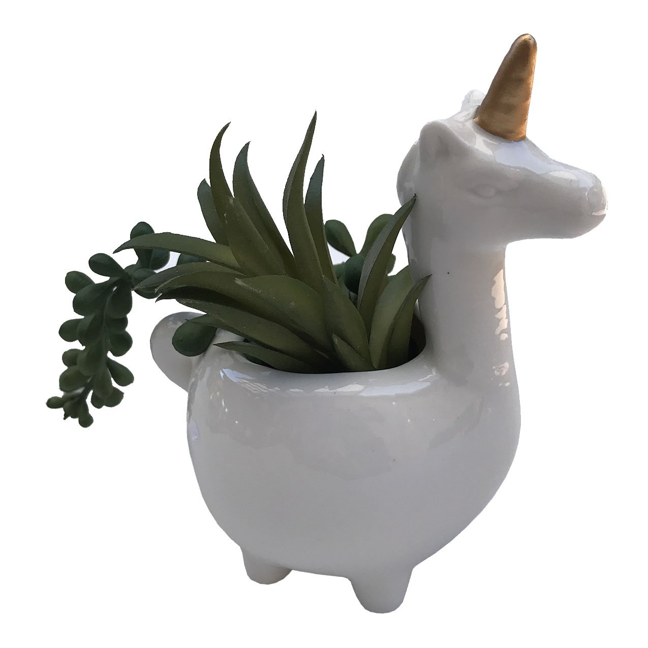 Planter for Succulent Plant Ceramic Plant Pots Indoor, Novelty Planters for... - Picture 24 of 24