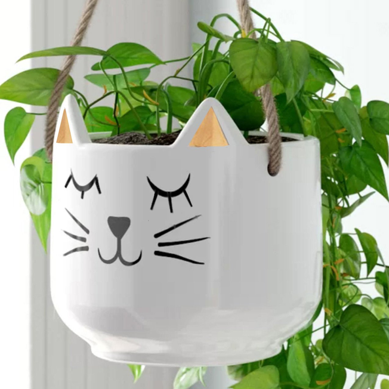 Planter for Succulent Plant Ceramic Plant Pots Indoor, Novelty Planters for... - Picture 21 of 24