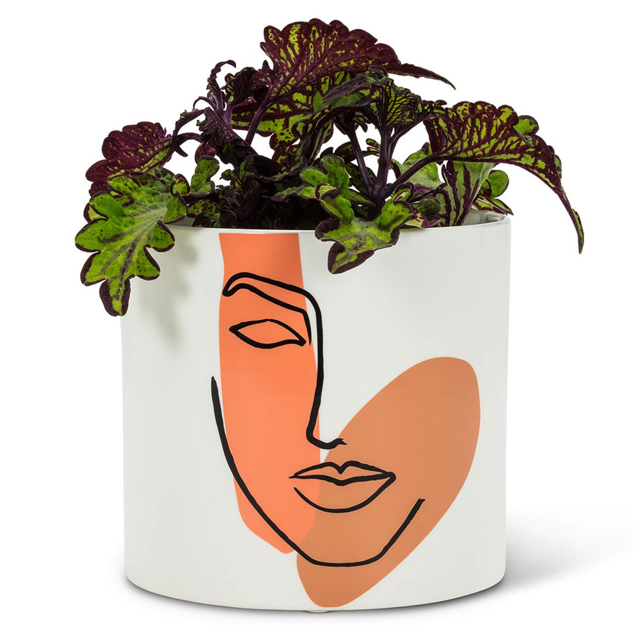 Planter for Succulent Plant Ceramic Plant Pots Indoor, Novelty Planters for... - Picture 6 of 24