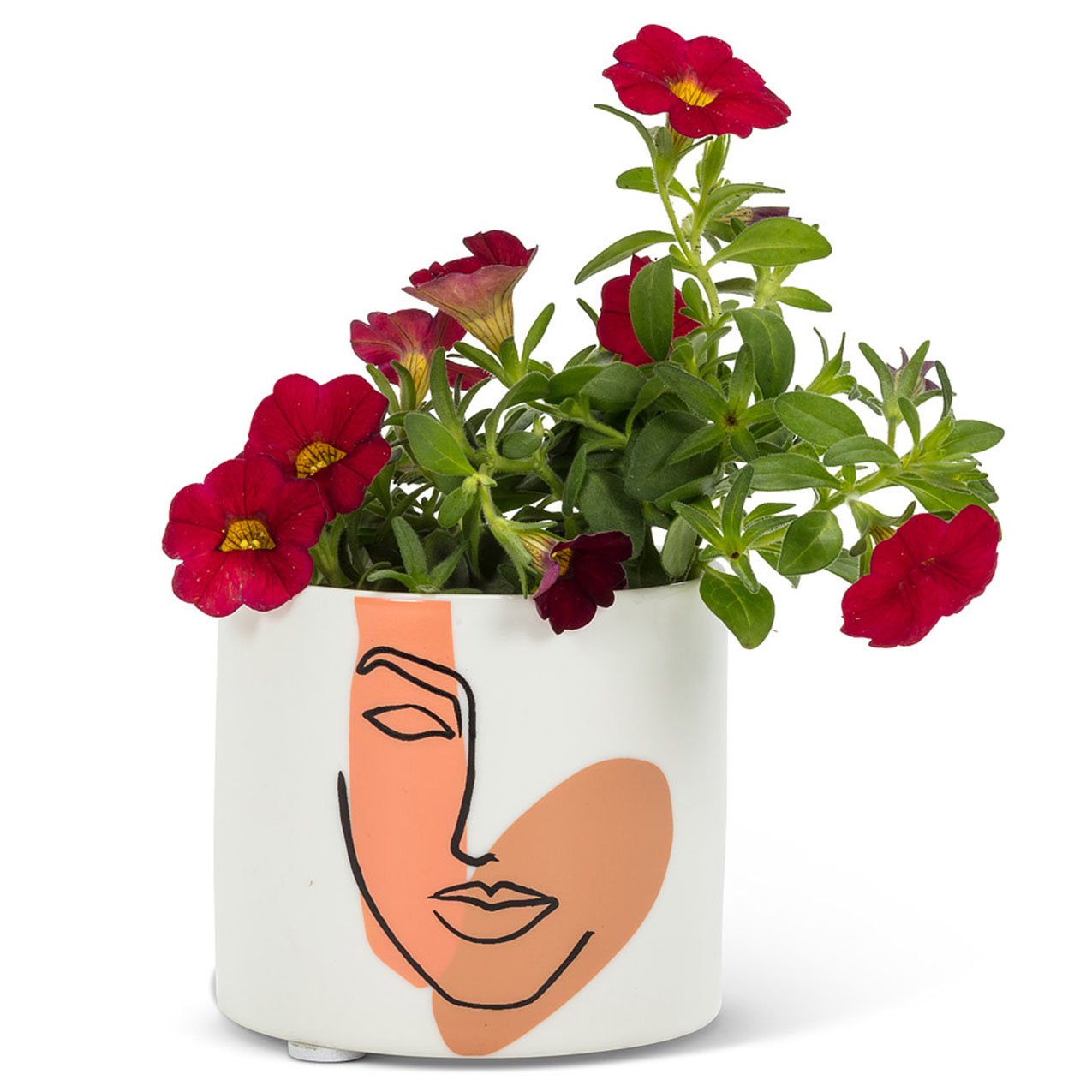Planter for Succulent Plant Ceramic Plant Pots Indoor, Novelty Planters for... - Picture 8 of 24