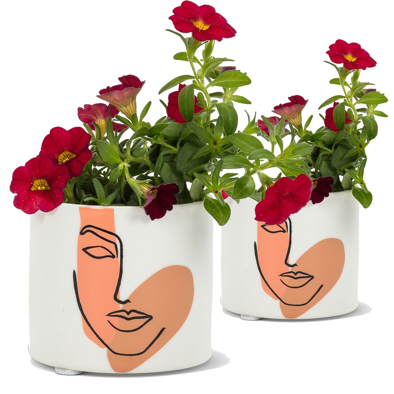 Planter for Succulent Plant Ceramic Plant Pots Indoor, Novelty Planters for... - Picture 9 of 24