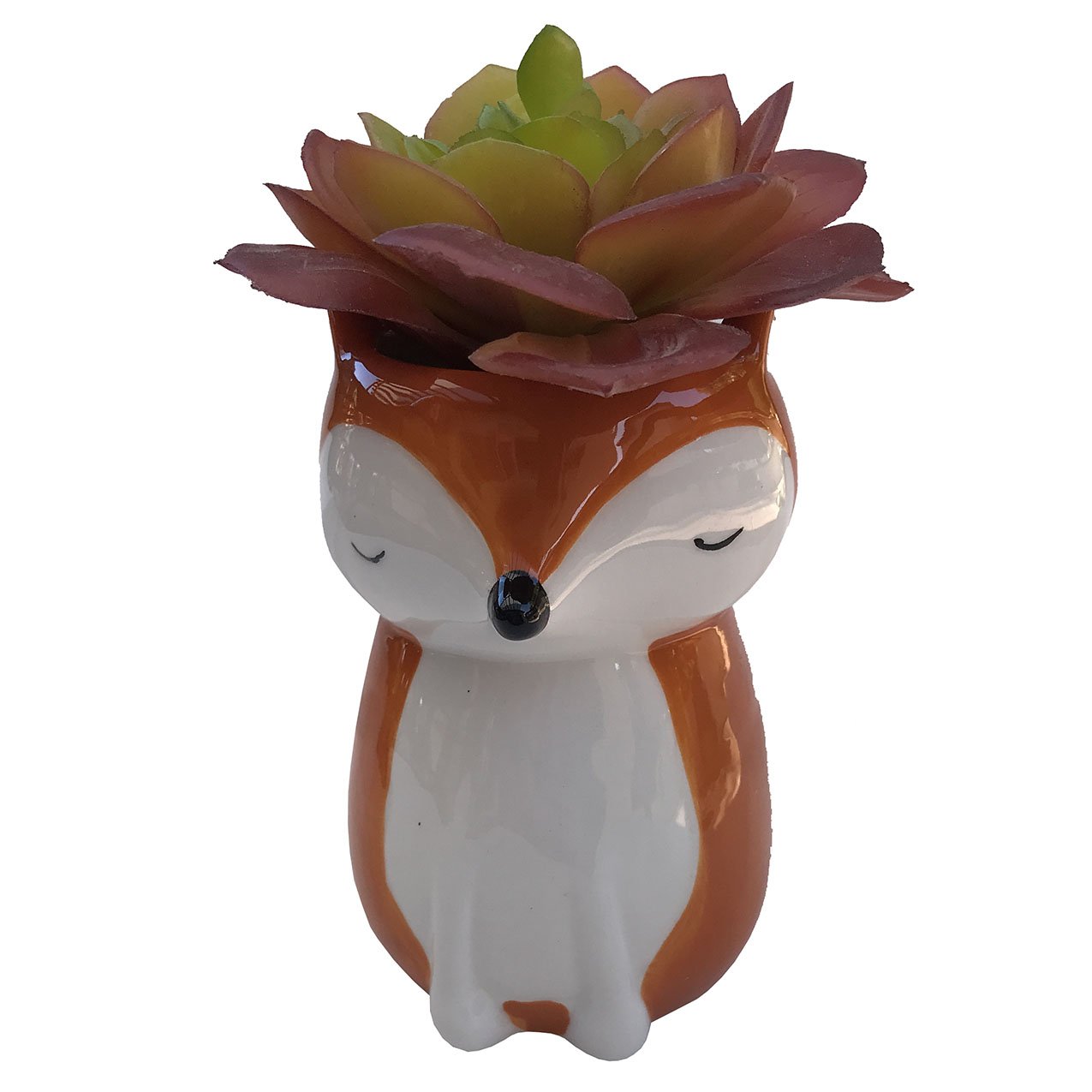 Planter for Succulent Plant Ceramic Plant Pots Indoor, Novelty Planters for... - Picture 4 of 24