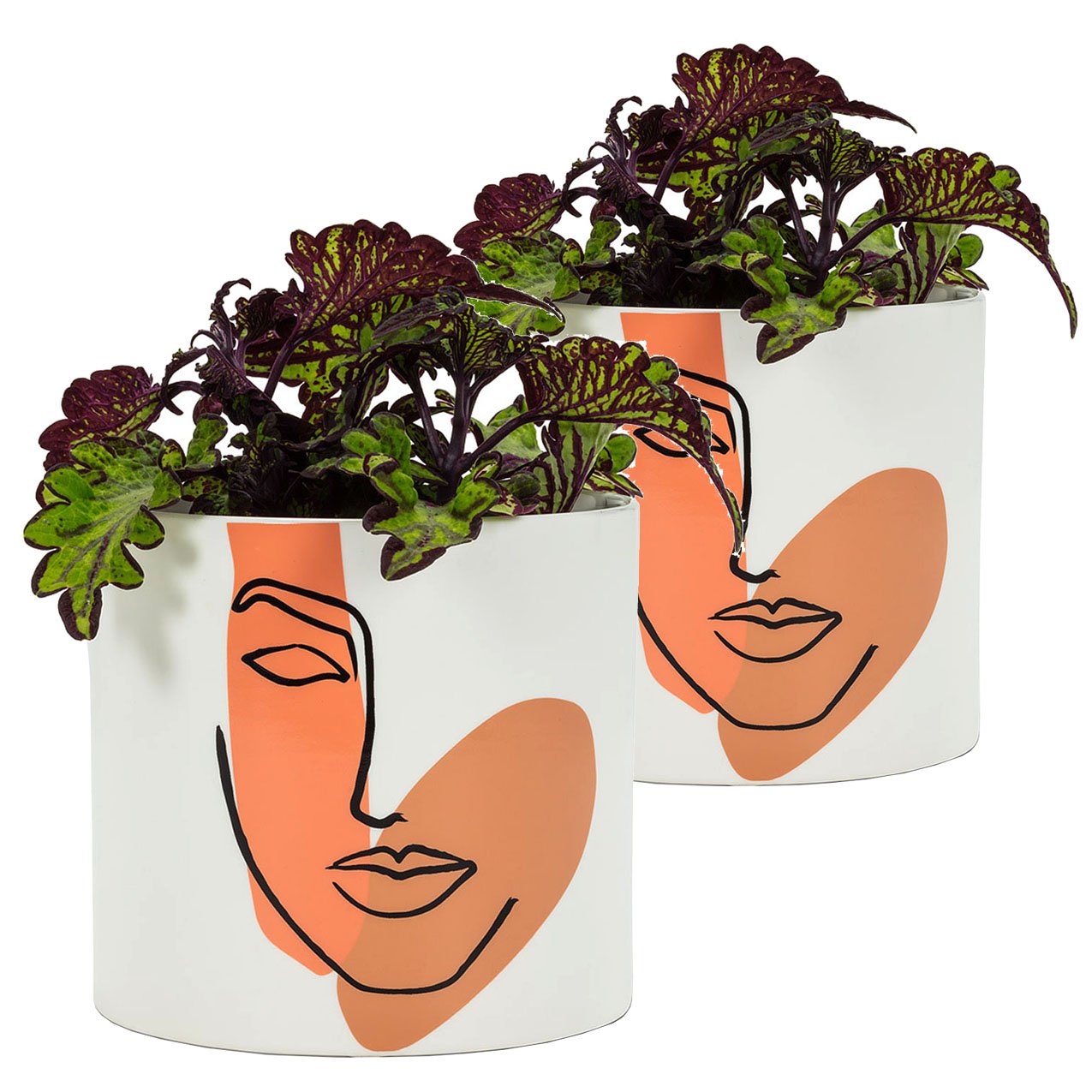 Planter for Succulent Plant Ceramic Plant Pots Indoor, Novelty Planters for... - Picture 7 of 24