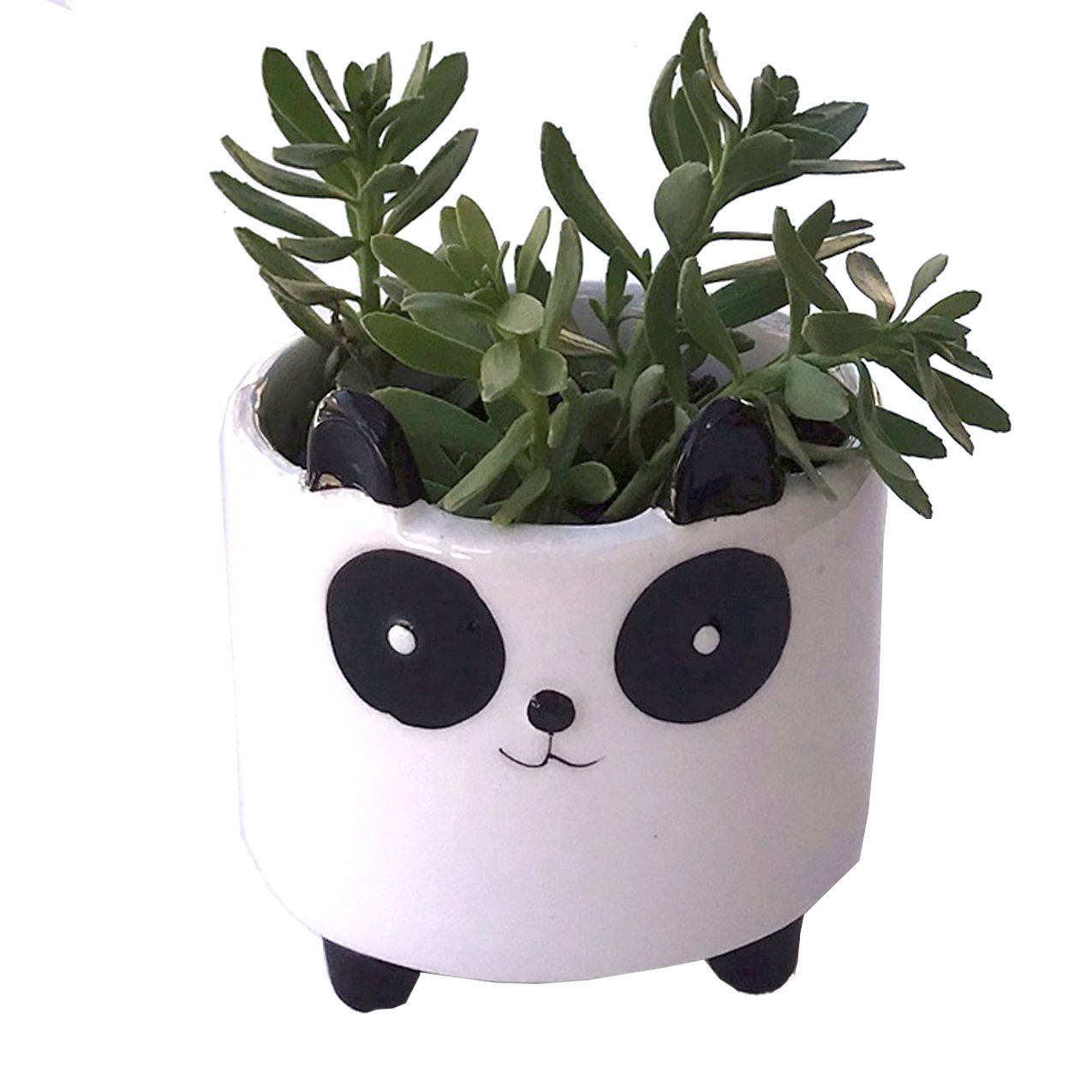 Planter for Succulent Plant Ceramic Plant Pots Indoor, Novelty Planters for... - Picture 10 of 24