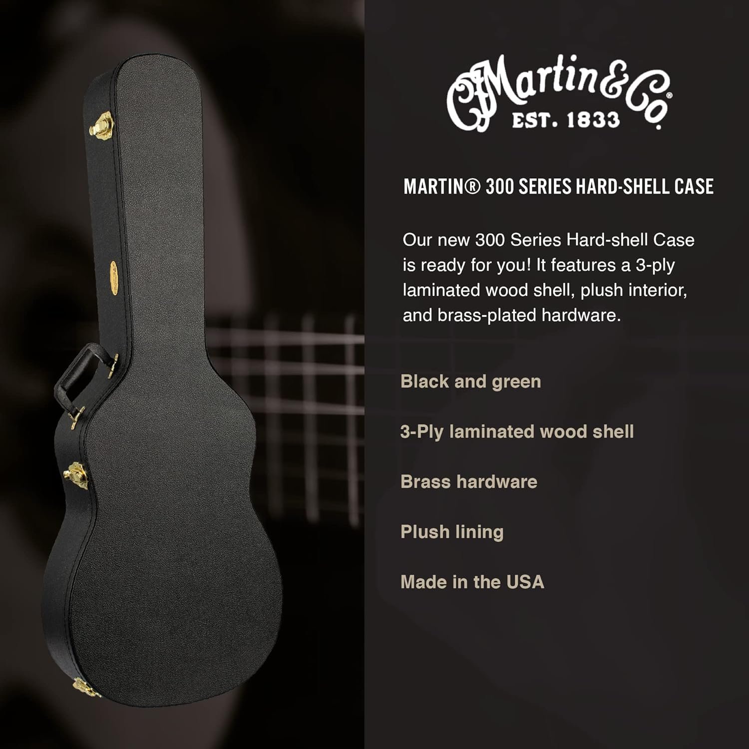 Martin backpacker hard case sales