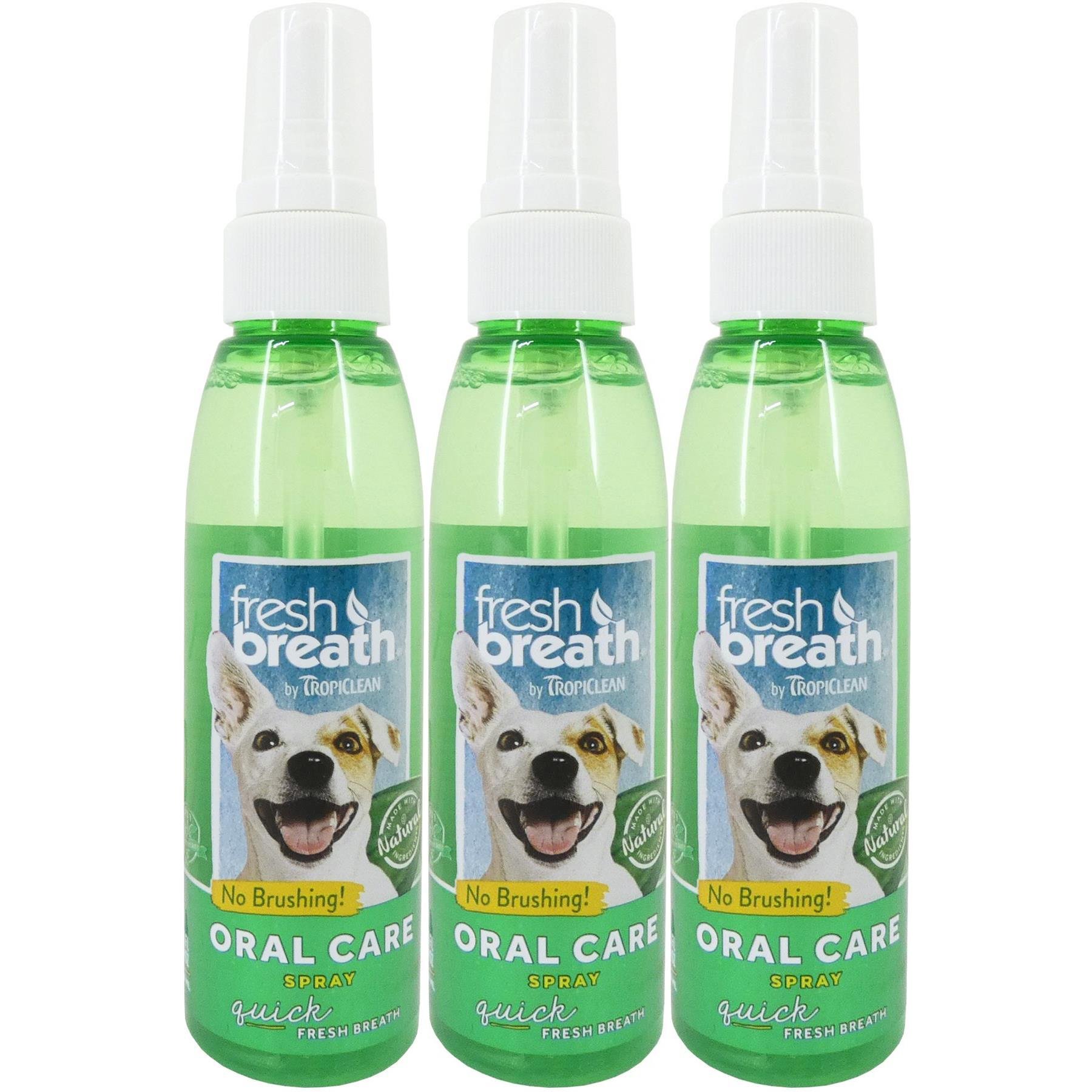 Fresh breath hot sale no brushing