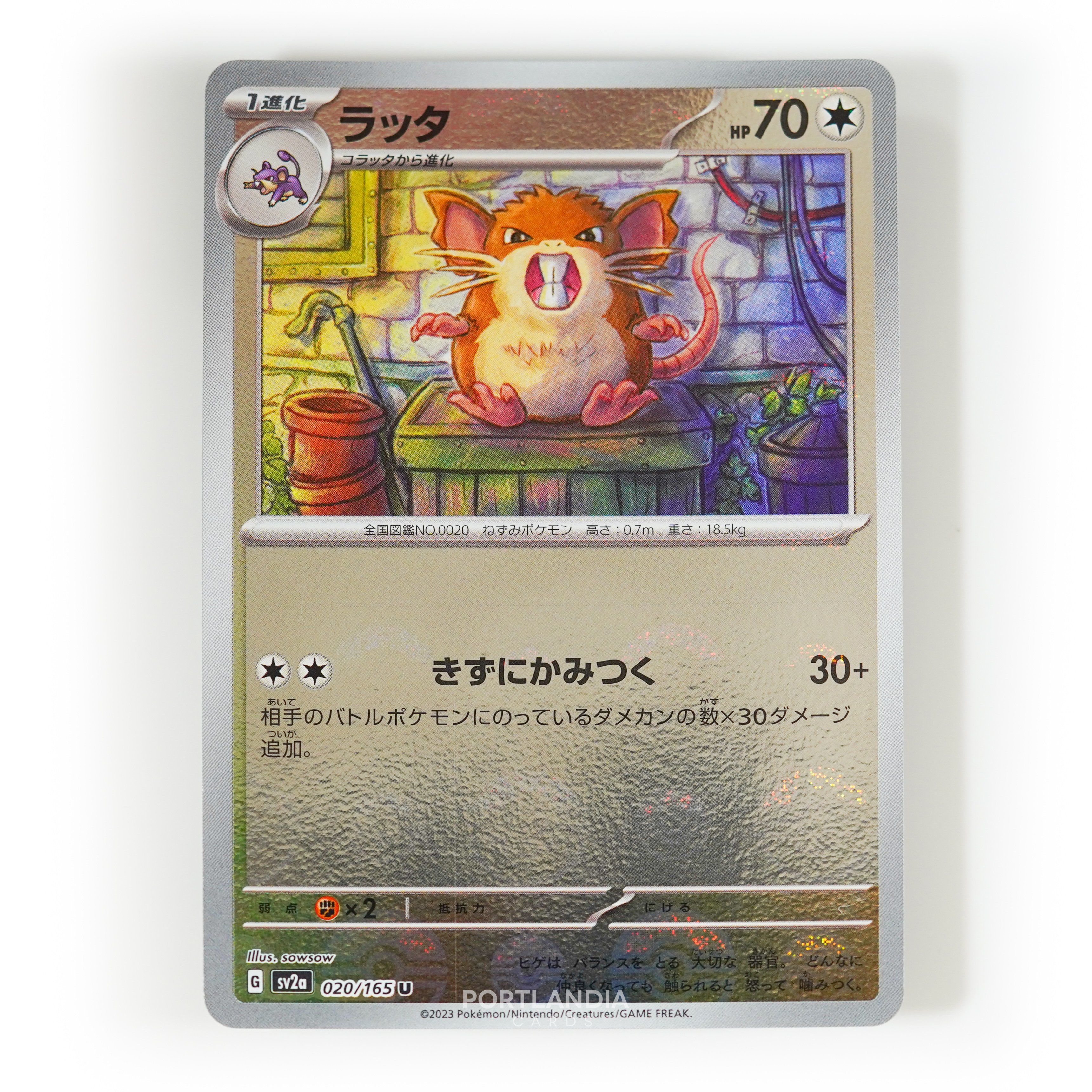 Pokemon - Japanese - SV2a - 151 - Reverse & Standard Holo Singles - Picture 19 of 178