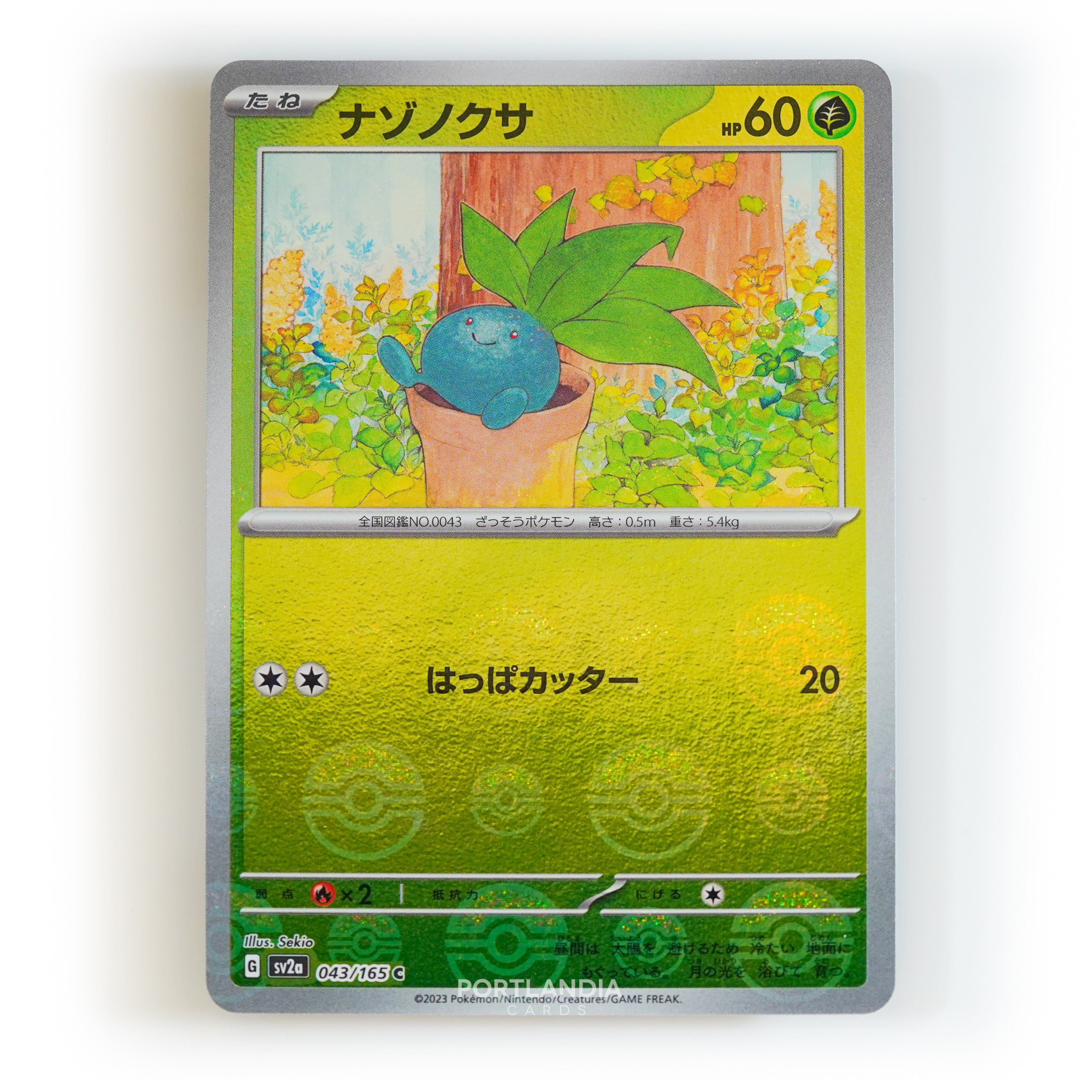 Pokemon - Japanese - SV2a - 151 - Reverse & Standard Holo Singles - Picture 40 of 178